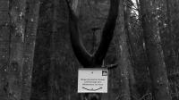 Kaiserweg am Anstieg zur Langen